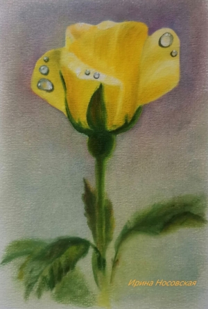 Рисунки учеников с курса Розы маслом